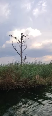 Akampene also known as Purnishment island Uganda