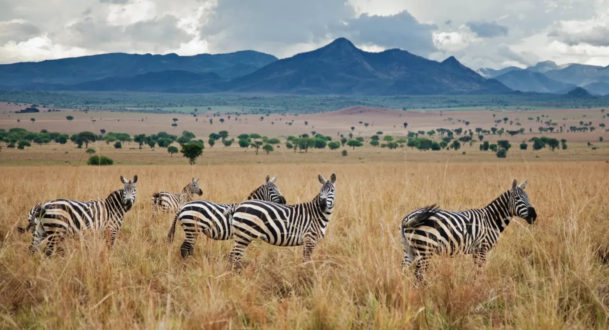 Drive to Kidepo National Park